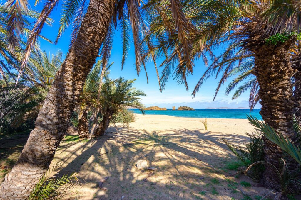 Vai beach crete