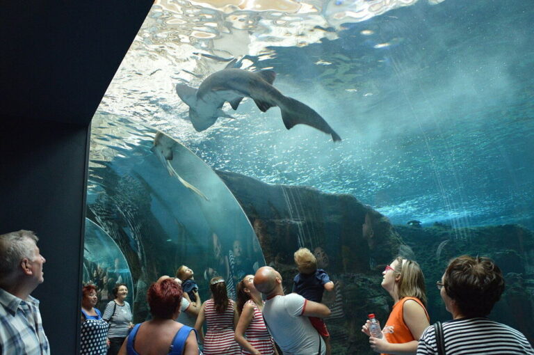Family Vacation in Crete - Aquarium
