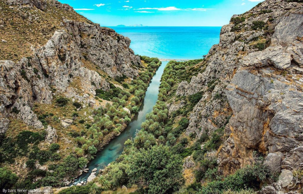 Preveli beach - paml forest - south Rethymno - Crete